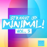 VA - Straight Up Minimal! Vol. 5 (2015) MP3