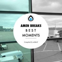 VA - Amen Breaks (Compiled By MSDOS) (2015) MP3