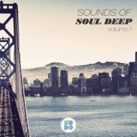 VA - Sounds of Soul Deep, Vol. 7 (2015) MP3