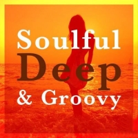 VA - Soulful Deep and Groovy Vol.3 (2016) MP3