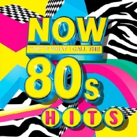 VA - Now Thats What I Call The 80s Hits (2016) MP3