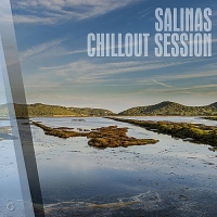 VA - Salinas Chillout Session (2016) MP3