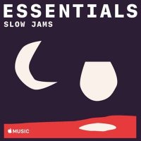 VA - Slow Jams Essentials (2021) MP3