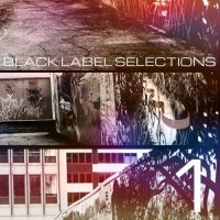 VA - Black Label Selections (2015) MP3