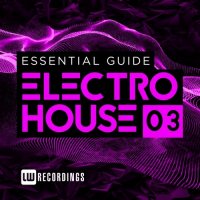 VA - Essential Guide: Electro House, Vol. 3 (2015) MP3
