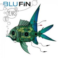 VA - 10 Years Of BluFin (2015) MP3