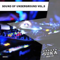VA - Sound of Underground, Vol. 5 (2014) MP3