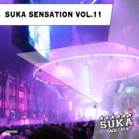 VA - Suka Sensation, Vol. 11 (2015) MP3