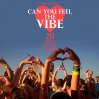 VA - Can You Feel the Vibe (20 Ibiza House Classics) (2015) MP3