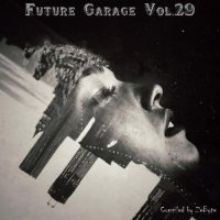 VA - Future Garage Vol.29 [Compiled by Zebyte] (2015) MP3