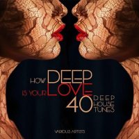 VA - How DEEP Is Your Love (40 Deep House Tunes) (2015) MP3