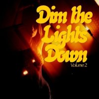 VA - Dim The Lights Down Vol 2 (Intimate Hours) (2015) MP3