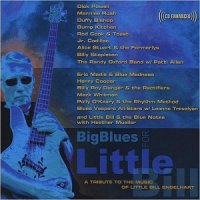 VA - Big Blues For Little Bill: A Tribute To The Music Of Little Bill Engelhart (2009) MP3