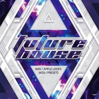 VA - Pulsed Future: House Brings Vision (2015) MP3