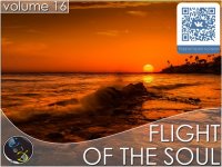 VA - Flight Of The Soul vol.16 (2015) MP3