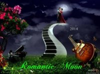 VA - Romantic Moon (2014) MP3