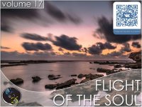 VA - Flight Of The Soul vol.17 (2015) MP3