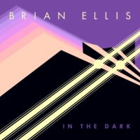 Brian Ellis - In The Dark (2015) MP3