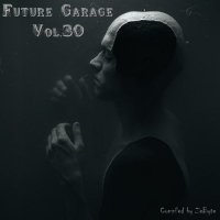 VA - Future Garage Vol.30 [Compiled by Zebyte] (2015) MP3