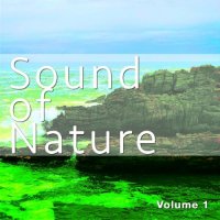 VA - Sound of Nature, Vol. 1 (Pure Chill out & Meditation Grooves) (2015) MP3