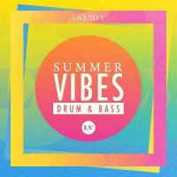 VA - Random Movement - Summer Vibes: Drum and Bass (2015) MP3