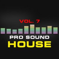 VA - Pro Sound: House, Vol. 7 (2015) MP3