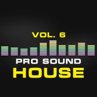 VA - Pro Sound: House, Vol. 6 (2015) MP3