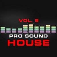VA - Pro Sound: House, Vol. 8 (2015) MP3