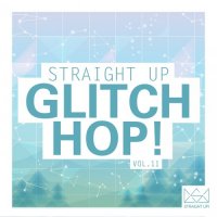 VA - Straight Up Glitch Hop! Vol. 11 (2015) MP3