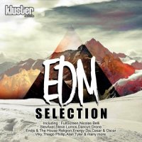 VA - EDM Selection (2015) MP3
