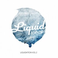 VA - Liquidation, Vol. 2 (2015) MP3