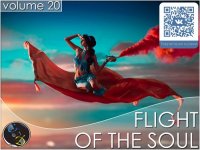 VA - Flight Of The Soul vol.20 (2015) MP3