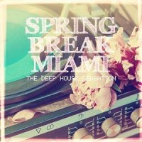 VA - Spring Break Miami: The Deep House Sensation (2015) MP3