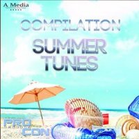 VA - Compilation Summer Tunes (2015) MP3