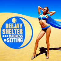 VA - Deejay Shelter Madness Setting (2015) MP3
