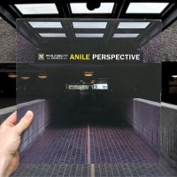 Anile - Perspective (2015) MP3
