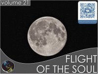 VA - Flight Of The Soul vol.21 (2015) MP3