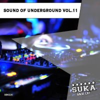 VA - Sound of Underground, Vol. 11 (2015) MP3