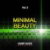 VA - Minimal Beauty, Vol. 3 (20 Minimal DJ Tracks) (2015) MP3