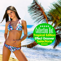 VA - Tropical Selection Fiesta Garden (2015) MP3