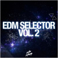 VA - EDM Selector, Vol. 2 (2015) MP3