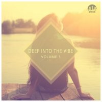 VA - Deep Into the Vibe, Vol. 1 (2014) MP3
