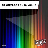 VA - Dancefloor Suka, Vol. 13 (2015) MP3