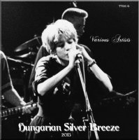 VA - Hungarian Silver Breeze (2015) MP3