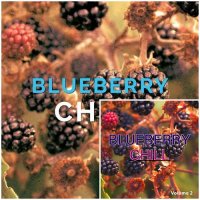 VA - Blueberry Chill Vol 1-2 (2015) MP3