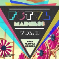 VA - FSTVL Madness, Vol. 11 - Pure Festival Sounds (2015) MP3