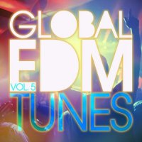 VA - Global EDM Tunes, Vol. 5 (2015) MP3