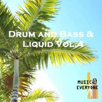 VA - Music For Everyone - Drum and Bass and Liquid Vol.4 (2015) MP3
