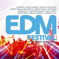 VA - EDM Festival - Electronic Dance Music Vol.3 (2015) MP3
