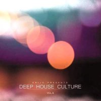 VA - Deep House Culture Vol. 6 (2015) MP3